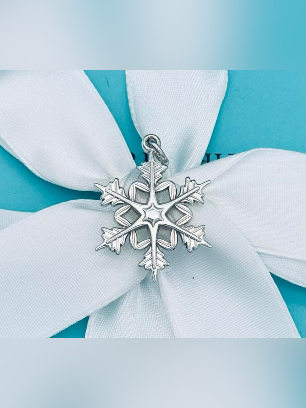 Tiffany & Co Silver Large Snowflake charm
